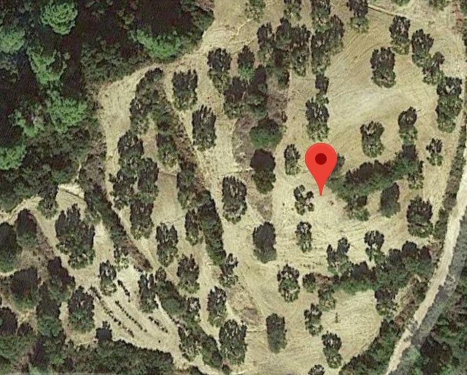 Hotel em Chalkidiki, Greece 10000 m² N.º 4678