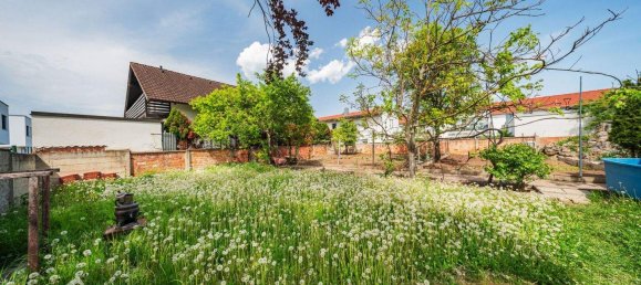 Terreno en Kottingbrunn, Austria No. 247087 8