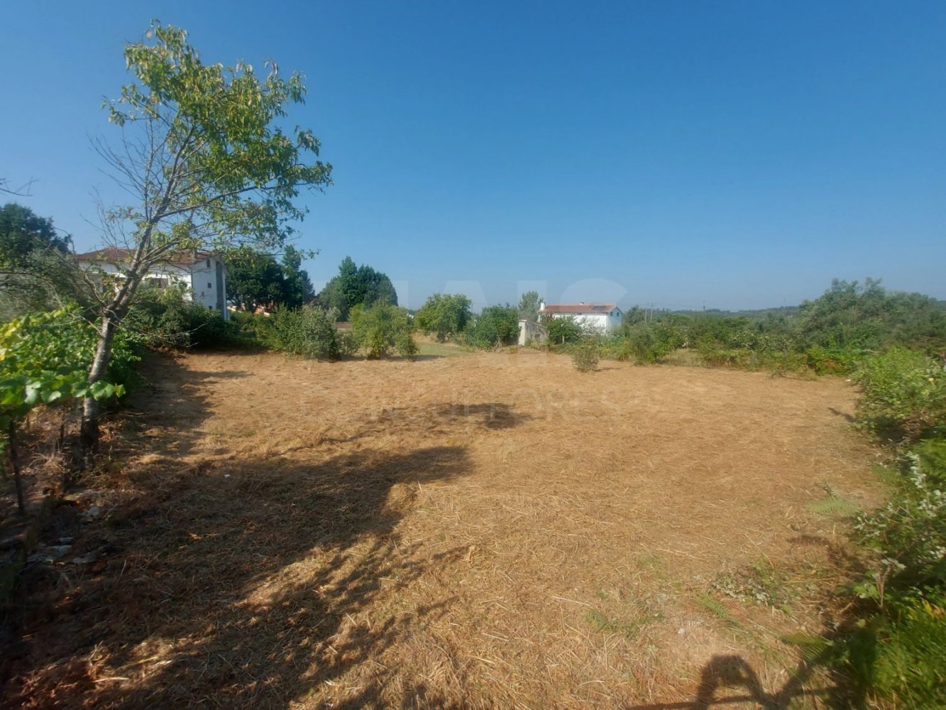 Terrain à Arganil, Portugal 1216m² No. 232308