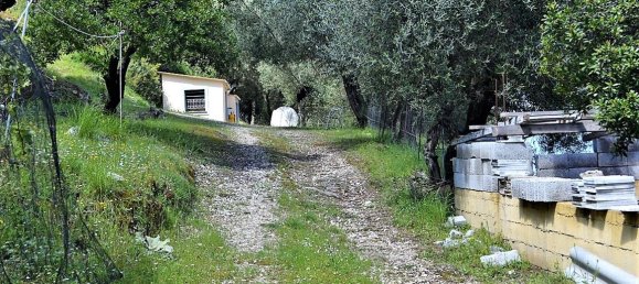 7000m² Hotel in Corfu, Greece No. 5019 6