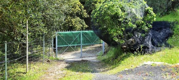 7000m² Hotel in Corfu, Greece No. 5019 9