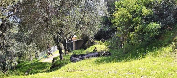 7000m² Hotel in Corfu, Greece No. 5019 12