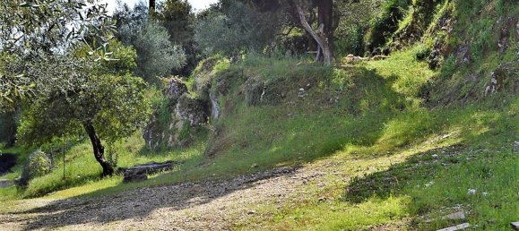 7000m² Hotel in Corfu, Greece No. 5019 10