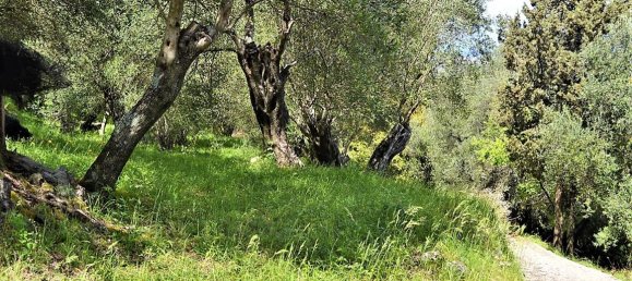 7000m² Hotel in Corfu, Greece No. 5019 16