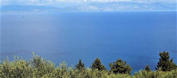 7000m² Hotel in Corfu, Greece No. 5019 3