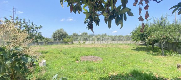 6 bedrooms House in Ansiao, Portugal No. 71857 9