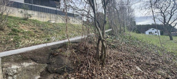 Земельный участок с 8 комнатами в Вайнитцен, Австрия № 36936 6