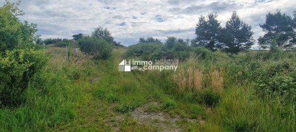 6 rooms Land in Unterfrauenhaid, Austria No. 82933 9