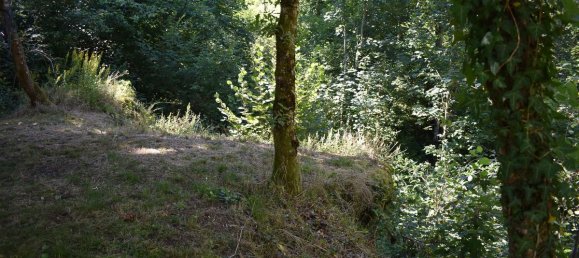 Дом с 2 спальнями в Ле-Мейе-де-Монтань, Франция № 322433 11