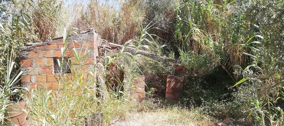 2 Schlafzimmer Haus in Chamusca, Portugal, Nr. 30383 4