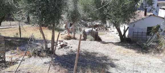 2 Schlafzimmer Haus in Chamusca, Portugal, Nr. 30383 8