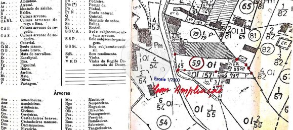 2 Schlafzimmer Haus in Chamusca, Portugal, Nr. 30383 2