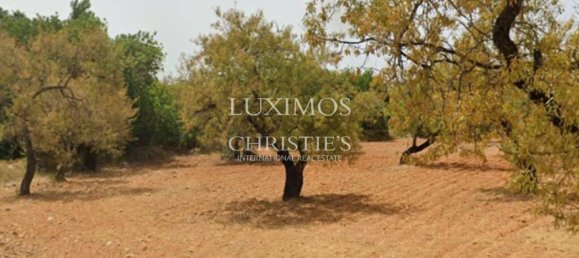 8250m² Land in Faro, Portugal No. 68310 3