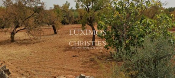 8250m² Land in Faro, Portugal No. 68310 7