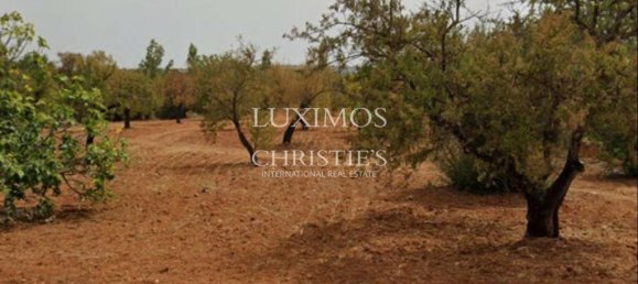 8250m² Land in Faro, Portugal No. 68310 4