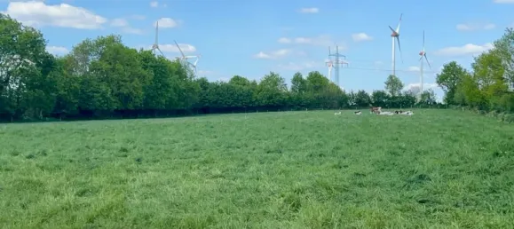 7-Zimmer Haus in Rendsburg-Eckernförde, Germany, Nr. 249384 9