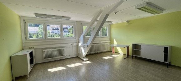 Imóvel comercial em Schwarzwald-Baar-Kreis, Germany 3835 m² N.º 53784 17