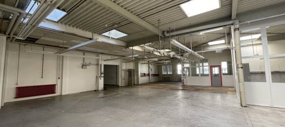Imóvel comercial em Schwarzwald-Baar-Kreis, Germany 3835 m² N.º 53784 14
