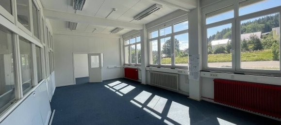 Imóvel comercial em Schwarzwald-Baar-Kreis, Germany 3835 m² N.º 53784 15