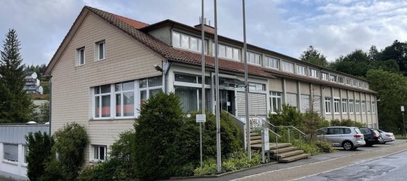 Imóvel comercial em Schwarzwald-Baar-Kreis, Germany 3835 m² N.º 53784 2