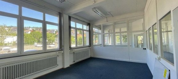 Imóvel comercial em Schwarzwald-Baar-Kreis, Germany 3835 m² N.º 53784 16