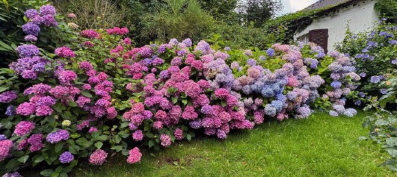 Apartamento T1 em Lippe, Germany N.º 245602 3