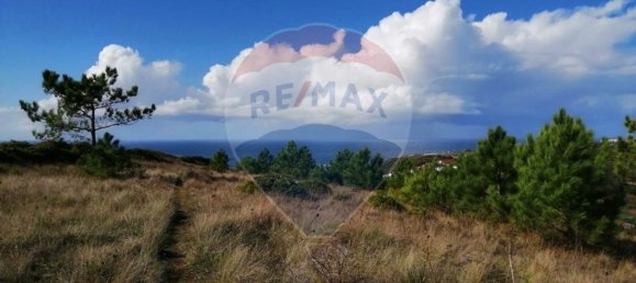 11562m² Land in Mafra, Portugal No. 58813 3