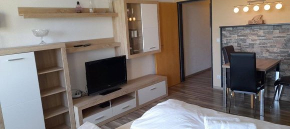 Studio in Freyung-Grafenau, Germany, Nr. 236266 14