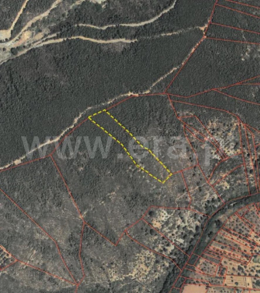  Land in Sarzedas, Portugal No. 211569