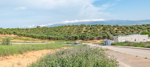 Terrain à Albolote, Spain 608m² No. 170028 5