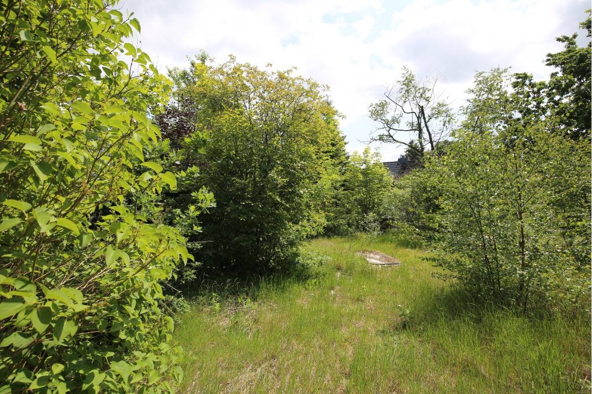  Land in Harburg, Germany No. 141573