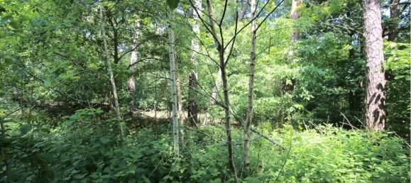  Land in Harburg, Germany No. 141573 6