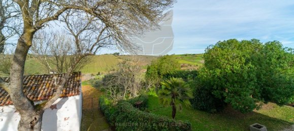 9 Schlafzimmer Haus in Torres Vedras, Portugal, Nr. 115945 40