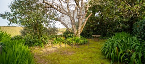 9 Schlafzimmer Haus in Torres Vedras, Portugal, Nr. 115945 44