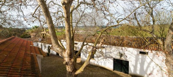 9 Schlafzimmer Haus in Torres Vedras, Portugal, Nr. 115945 39