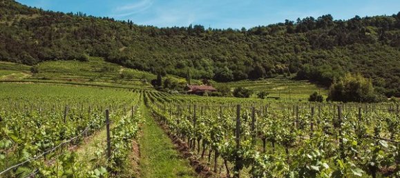 12 rooms Commercial property in Rovato, Italy No. 125710 6