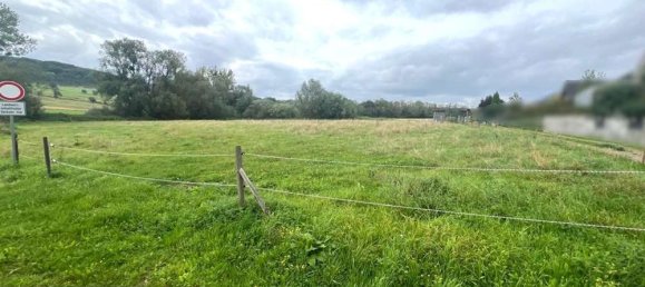  قطعة أرض في Trier-Saarburg, Germany رقم 263542 2