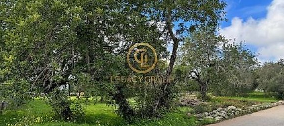 3392m² Land in Sao Bras de Alportel, Portugal No. 35259 16