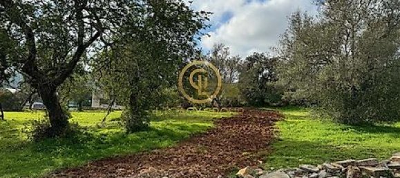 3392m² Land in Sao Bras de Alportel, Portugal No. 35259 17