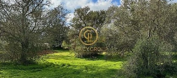 3392m² Land in Sao Bras de Alportel, Portugal No. 35259 18