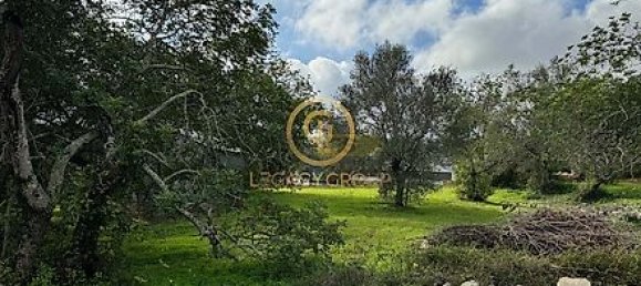 3392m² Land in Sao Bras de Alportel, Portugal No. 35259 15