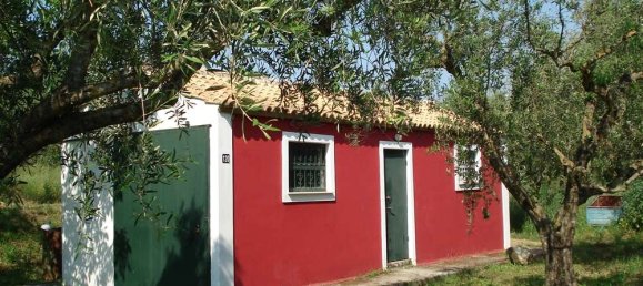 2 chambres Propriété commerciale à Zakynthos, Greece No. 577 3