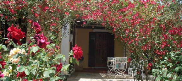 2 chambres Propriété commerciale à Zakynthos, Greece No. 577 23