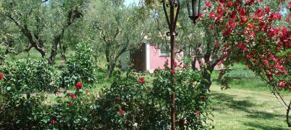 2 chambres Propriété commerciale à Zakynthos, Greece No. 577 24