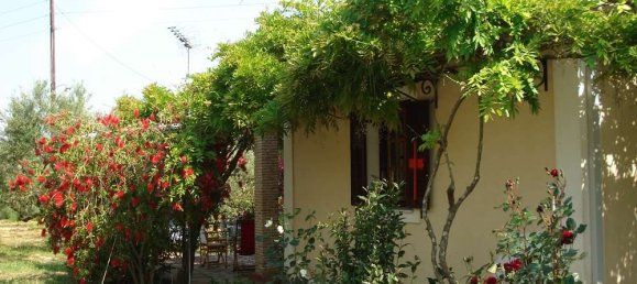 2 chambres Propriété commerciale à Zakynthos, Greece No. 577 22