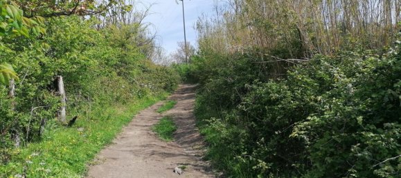 Villa de 5 habitaciónes en Rome, Italy No. 99453 24