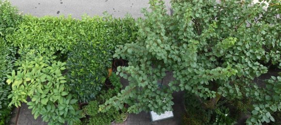 8 غرف نوم فيلا في Modena, Italy رقم 327809 17