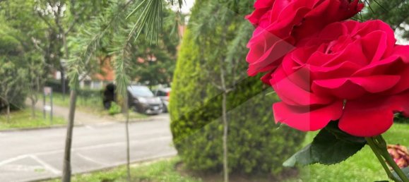 Apartamento de 5 habitaciónes en Casalecchio di Reno, Italy No. 33583 12