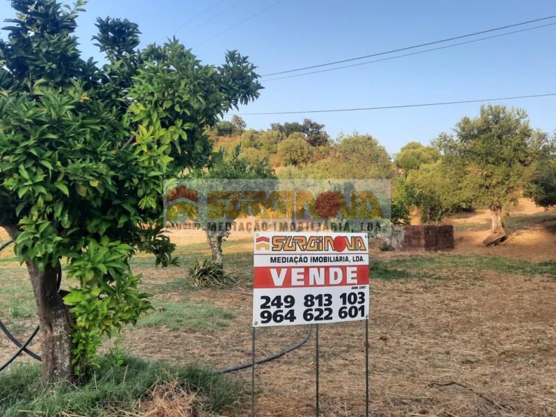 Terrain à Torres Novas, Portugal 6160m² No. 263459