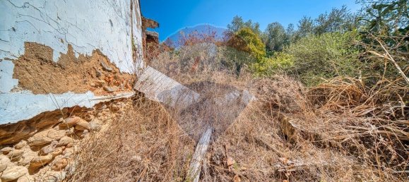 3 Schlafzimmer Haus in Chamusca, Portugal, Nr. 182172 12